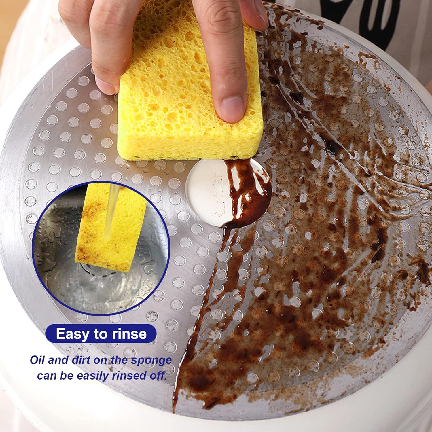 Esponjas Comprimidas CELOX de Celulosa - Paquete de 12 Unidades