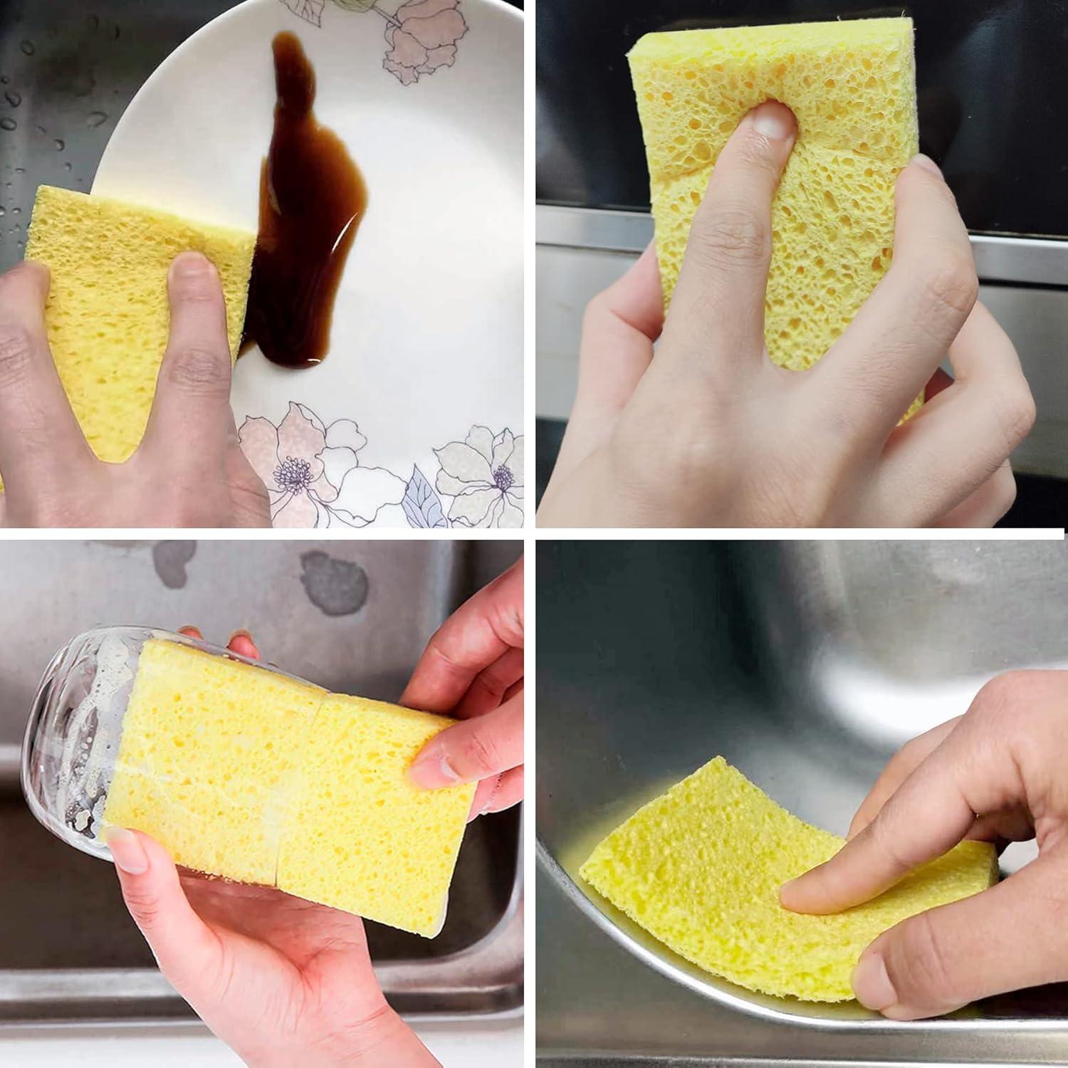 Esponjas Comprimidas CELOX de Celulosa - Paquete de 12 Unidades