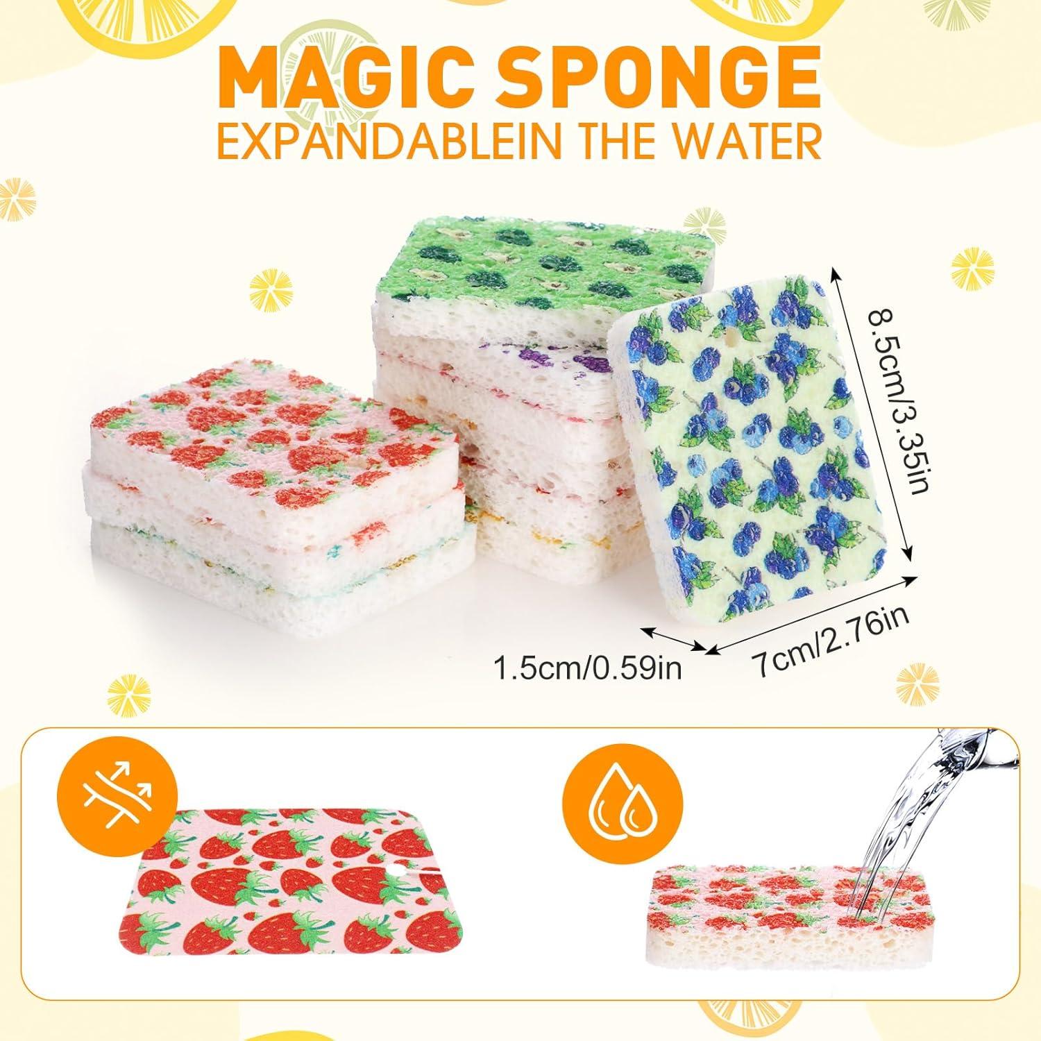 Esponjas de Celulosa Comprimidas Maxdot - 50 Piezas Multicolor