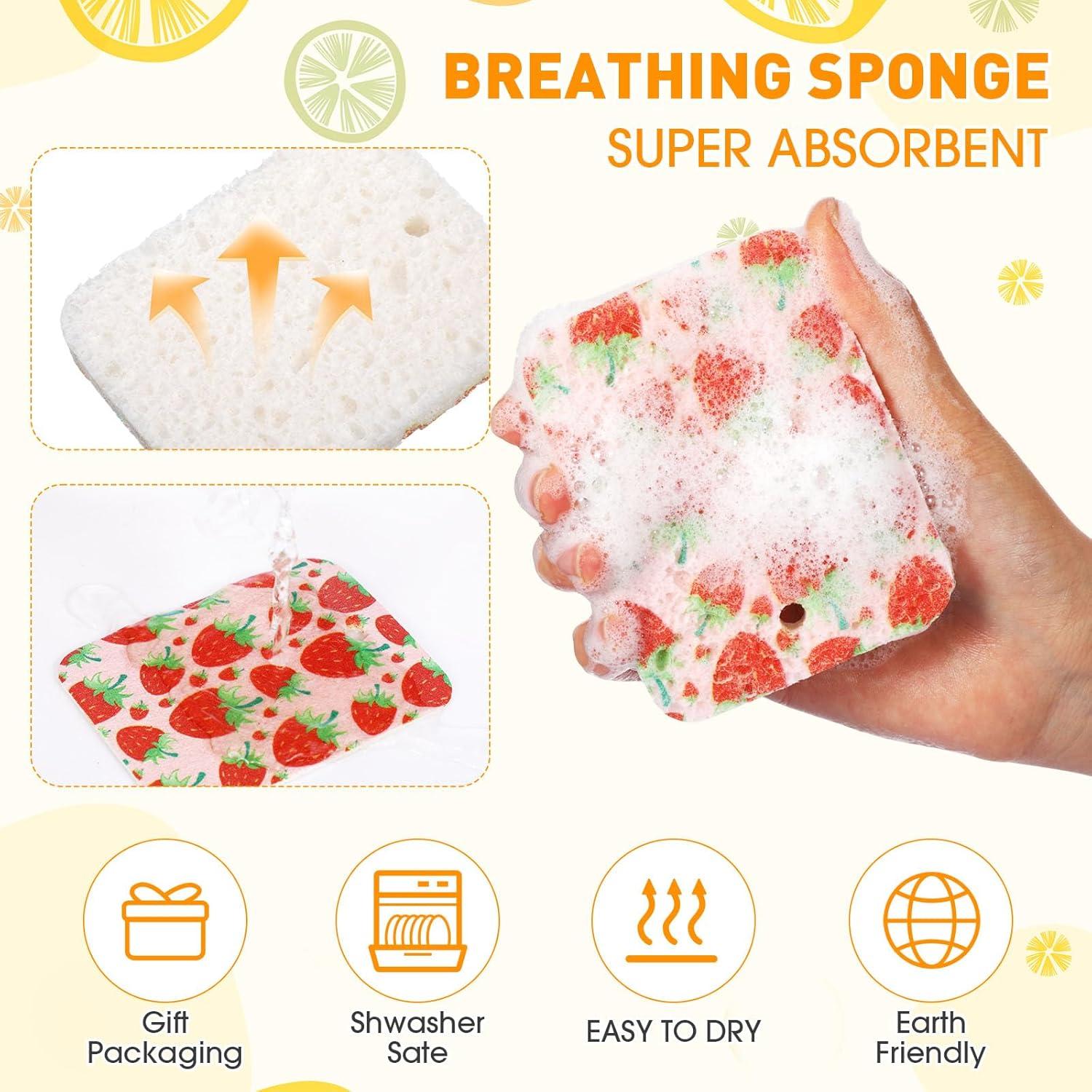 Esponjas de Celulosa Comprimidas Maxdot - 50 Piezas Multicolor