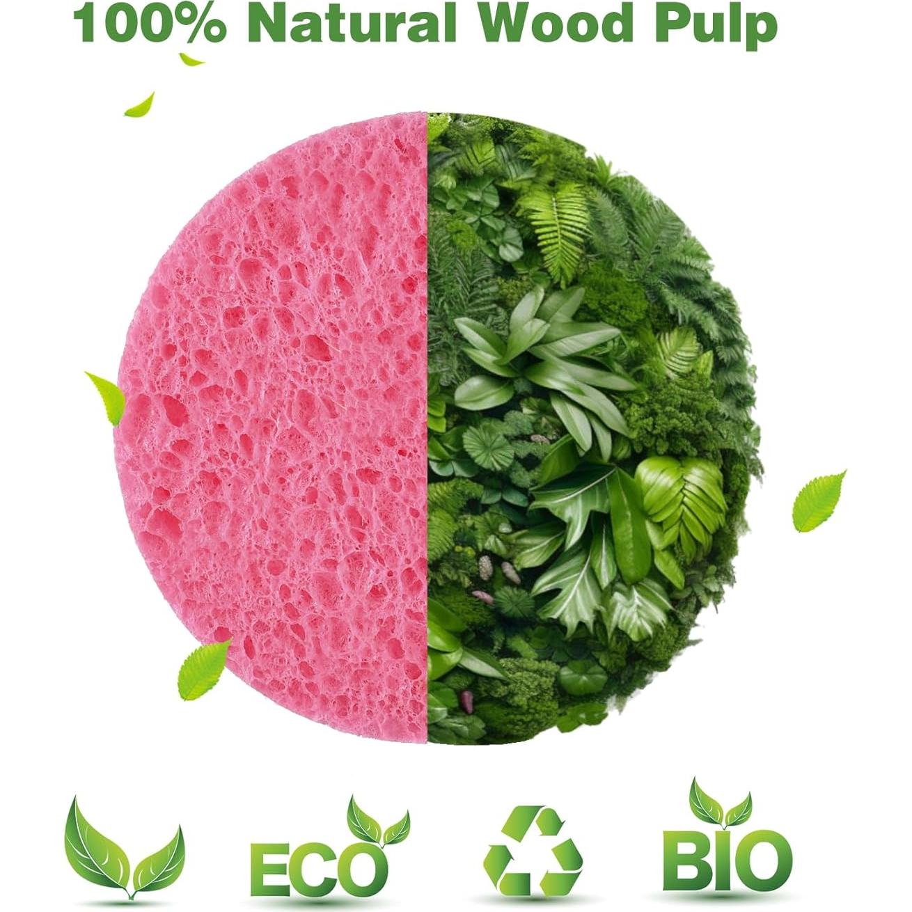 Esponjas Faciales Comprimidas METUUTER 50 Pcs 100% Celulosa Natural