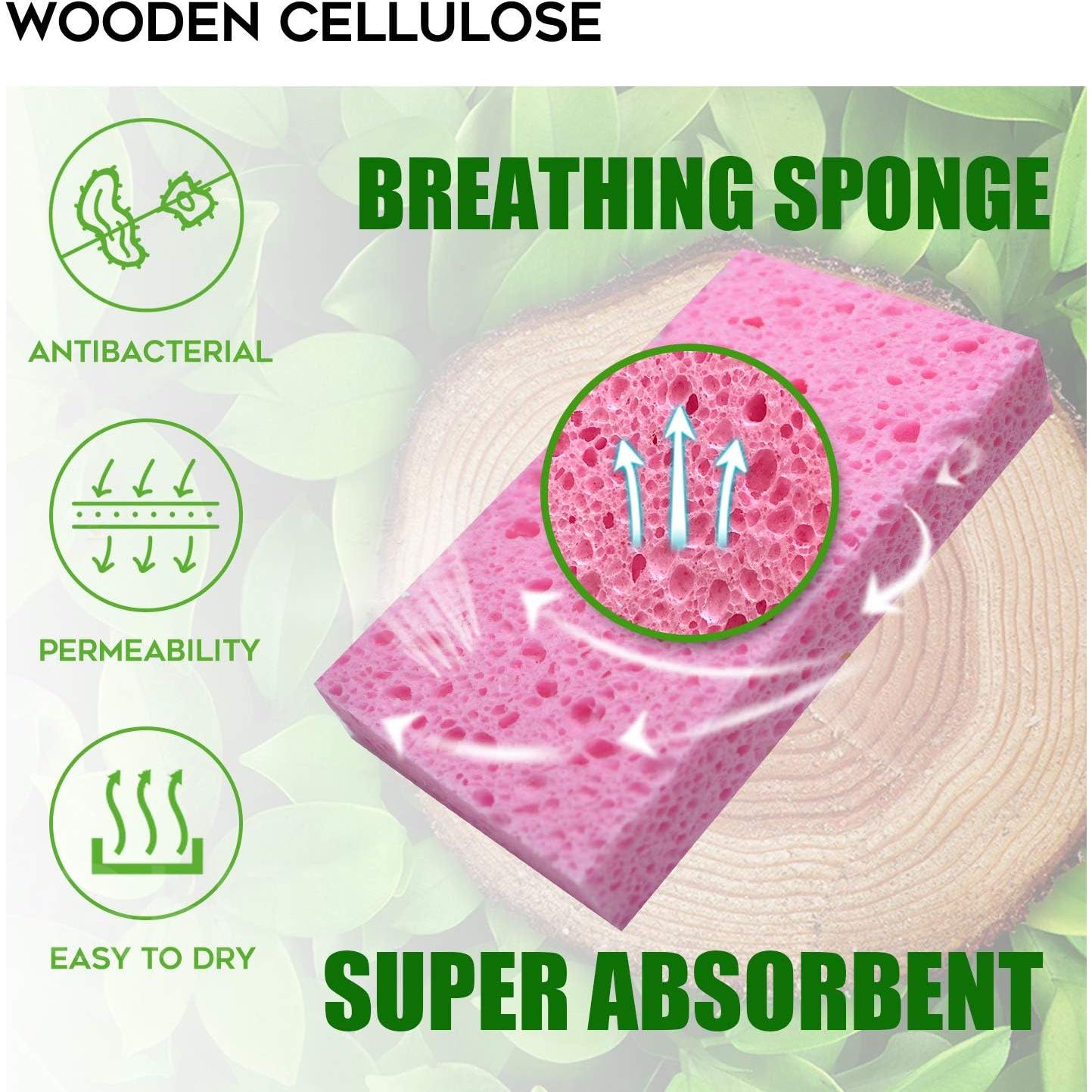 Esponjas de Limpieza Biodegradables PANYEE - Paquete de 16