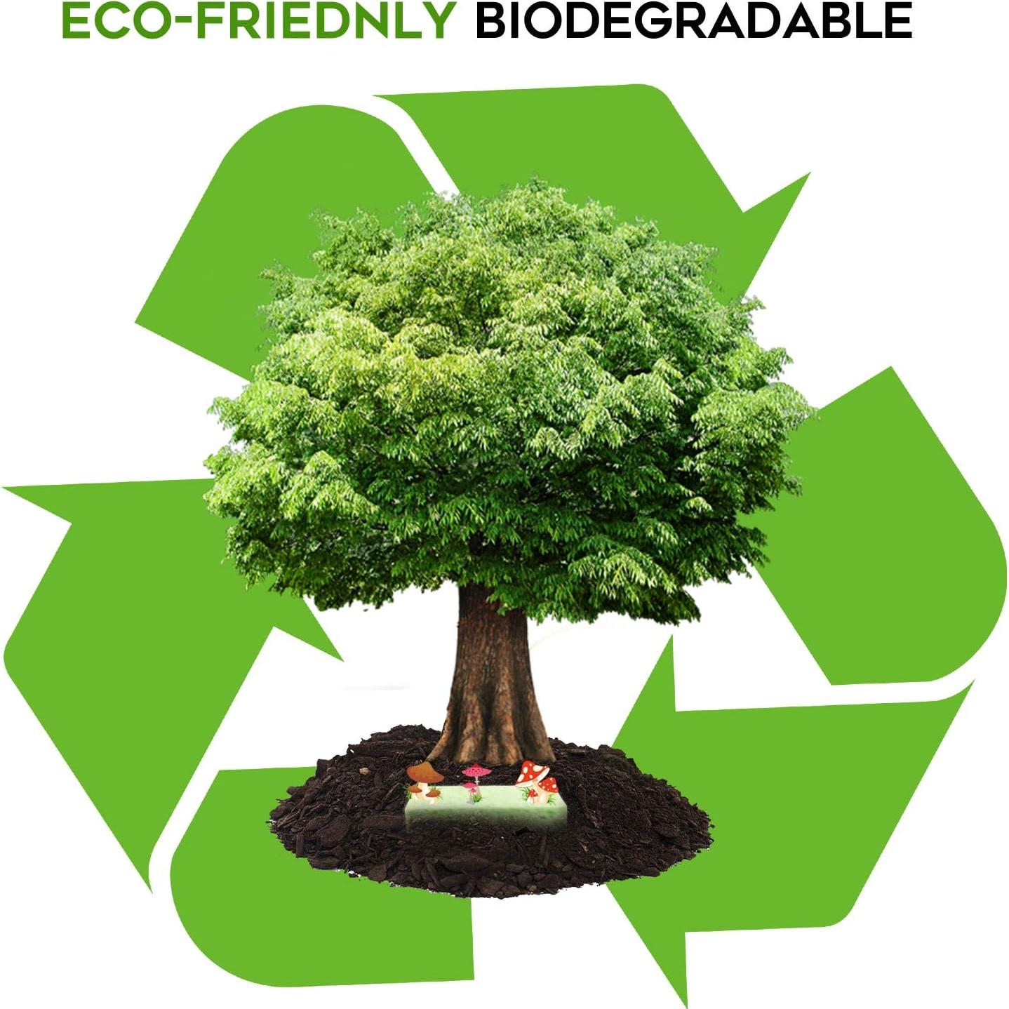 Esponjas de Limpieza Biodegradables PANYEE - Paquete de 16