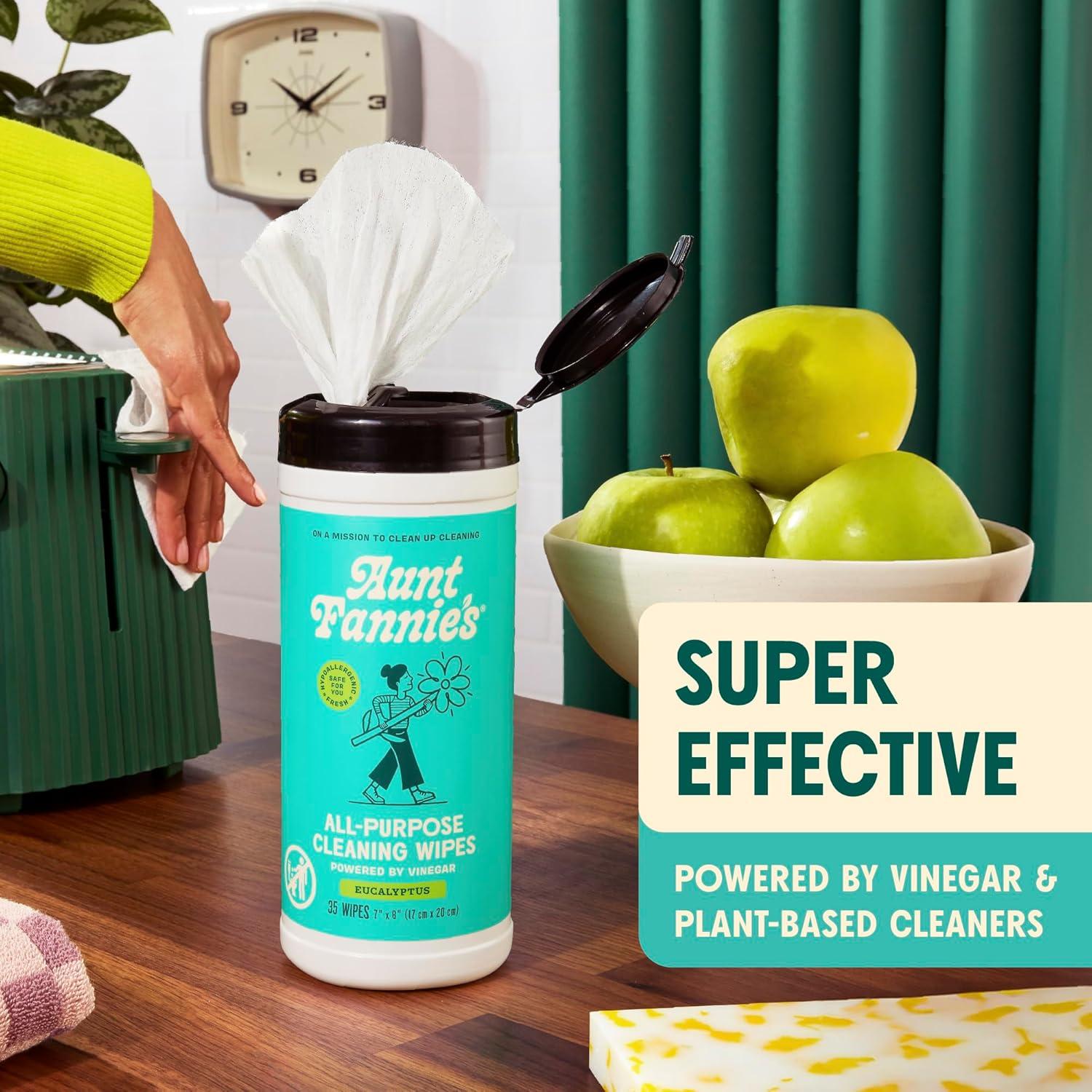 Toallitas de Limpieza de Vinagre Natural Aunt Fannie 35 Unidades Eucalipto