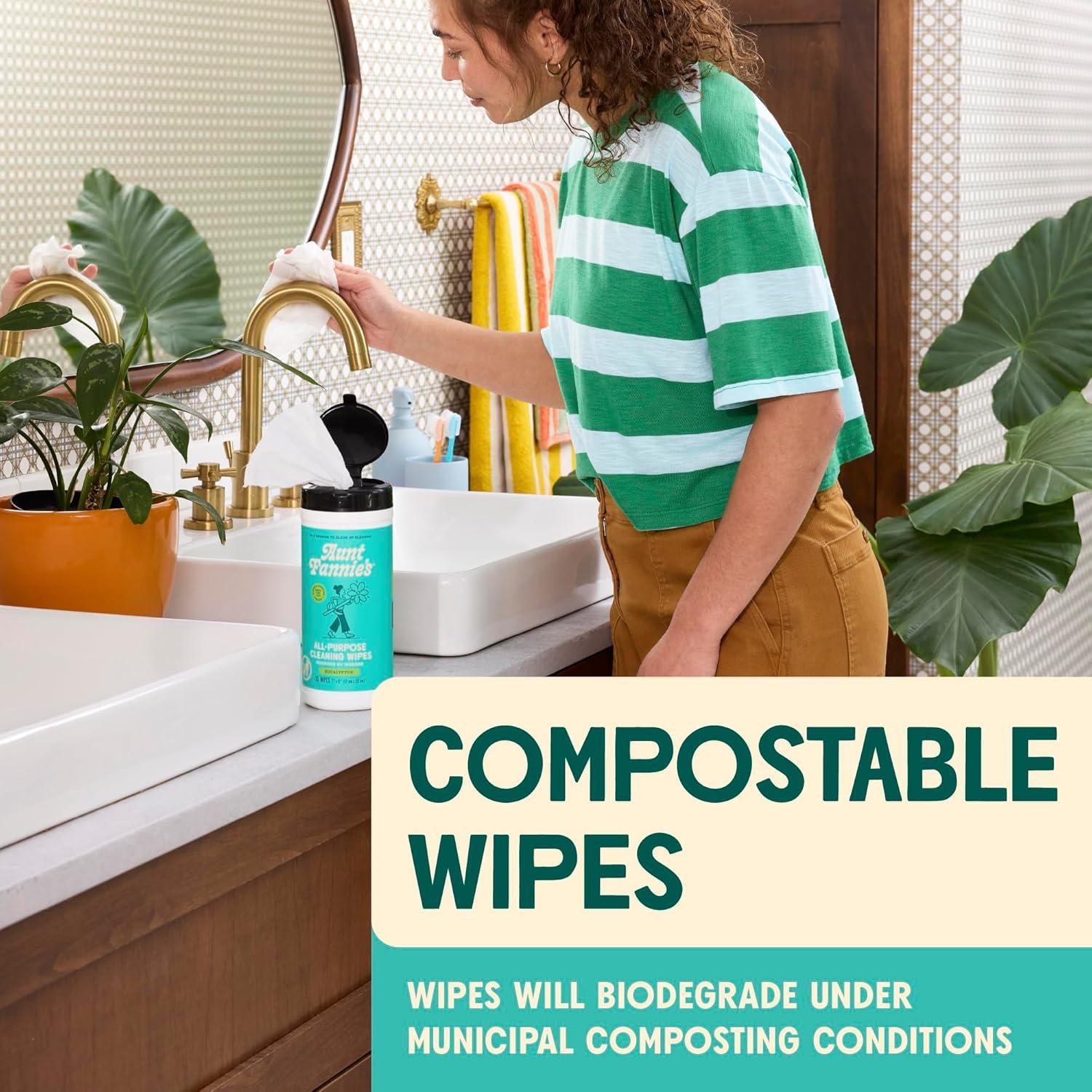 Toallitas de Limpieza de Vinagre Natural Aunt Fannie 35 Unidades Eucalipto