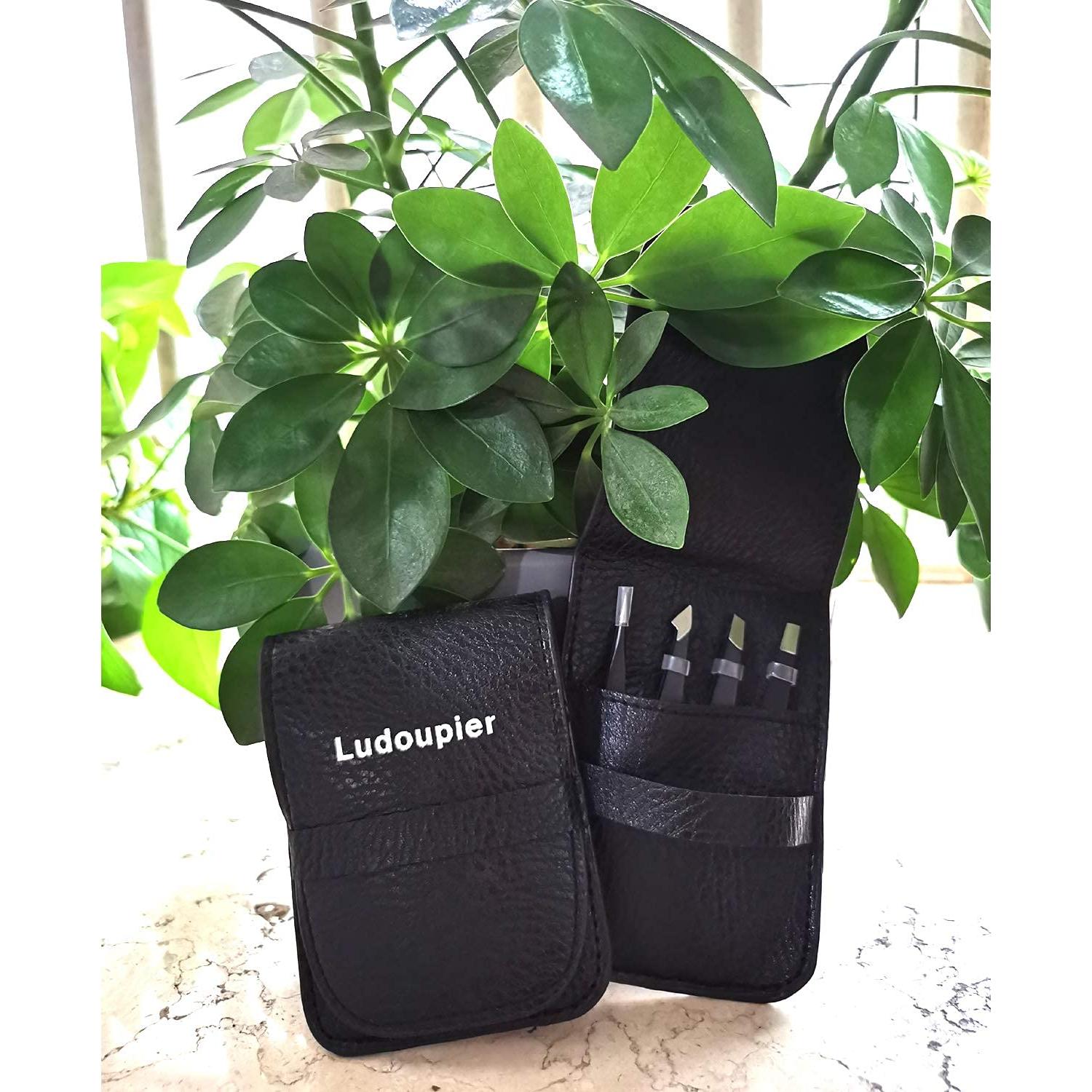 Juego de Pinzas de Acero Inoxidable LUDOUPIER 4 Piezas