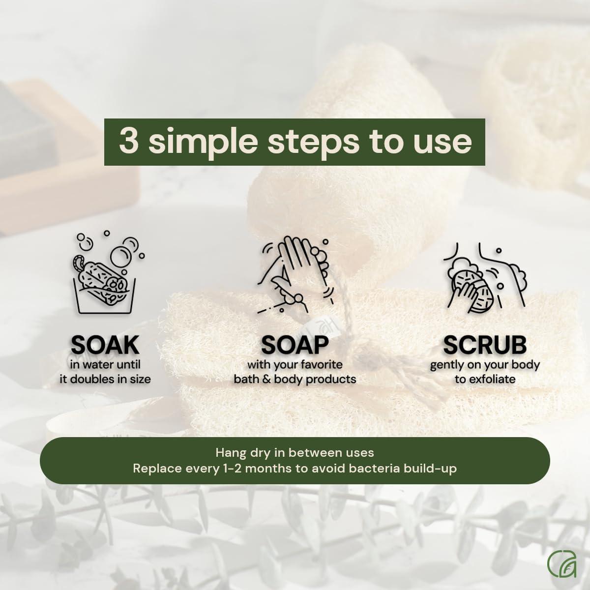 Juego de Esponjas de Lufa Natural Chill Ah - 4 Unidades Exfoliantes