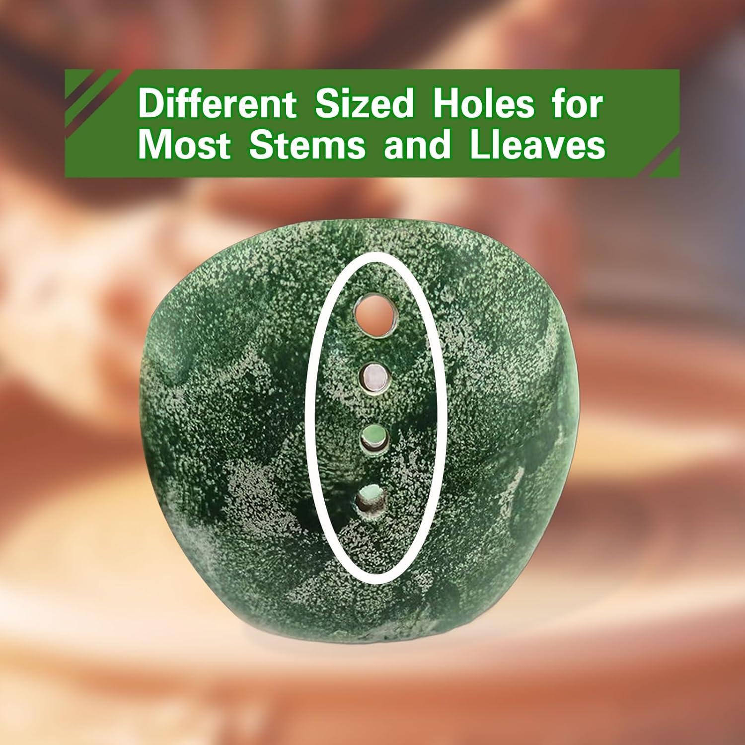 Tazón Deshojador de Hierbas YIYIBB Cerámica 11.43 cm Verde