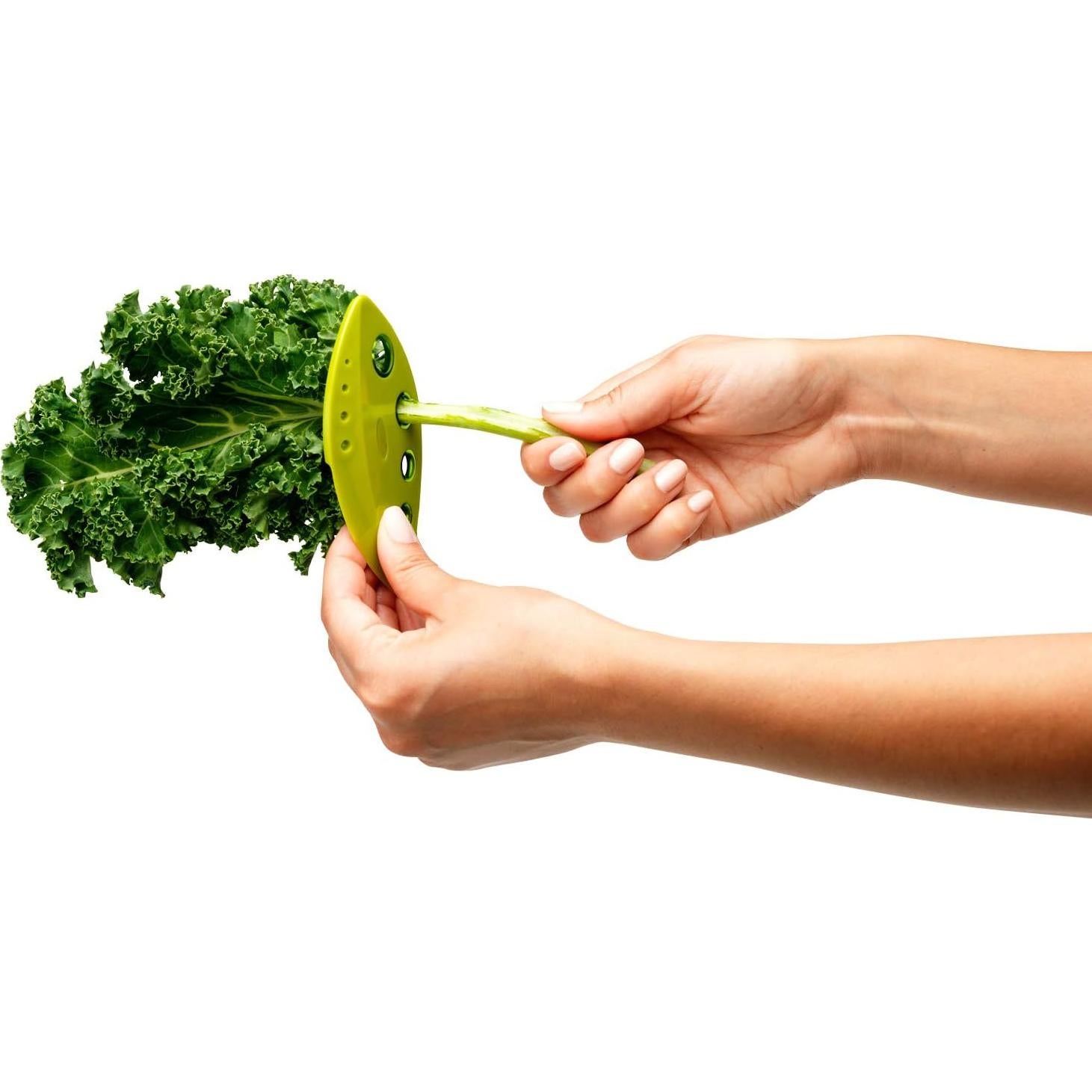 Deshojador de Kale Chef'n 19cm - Utensilio de Cocina