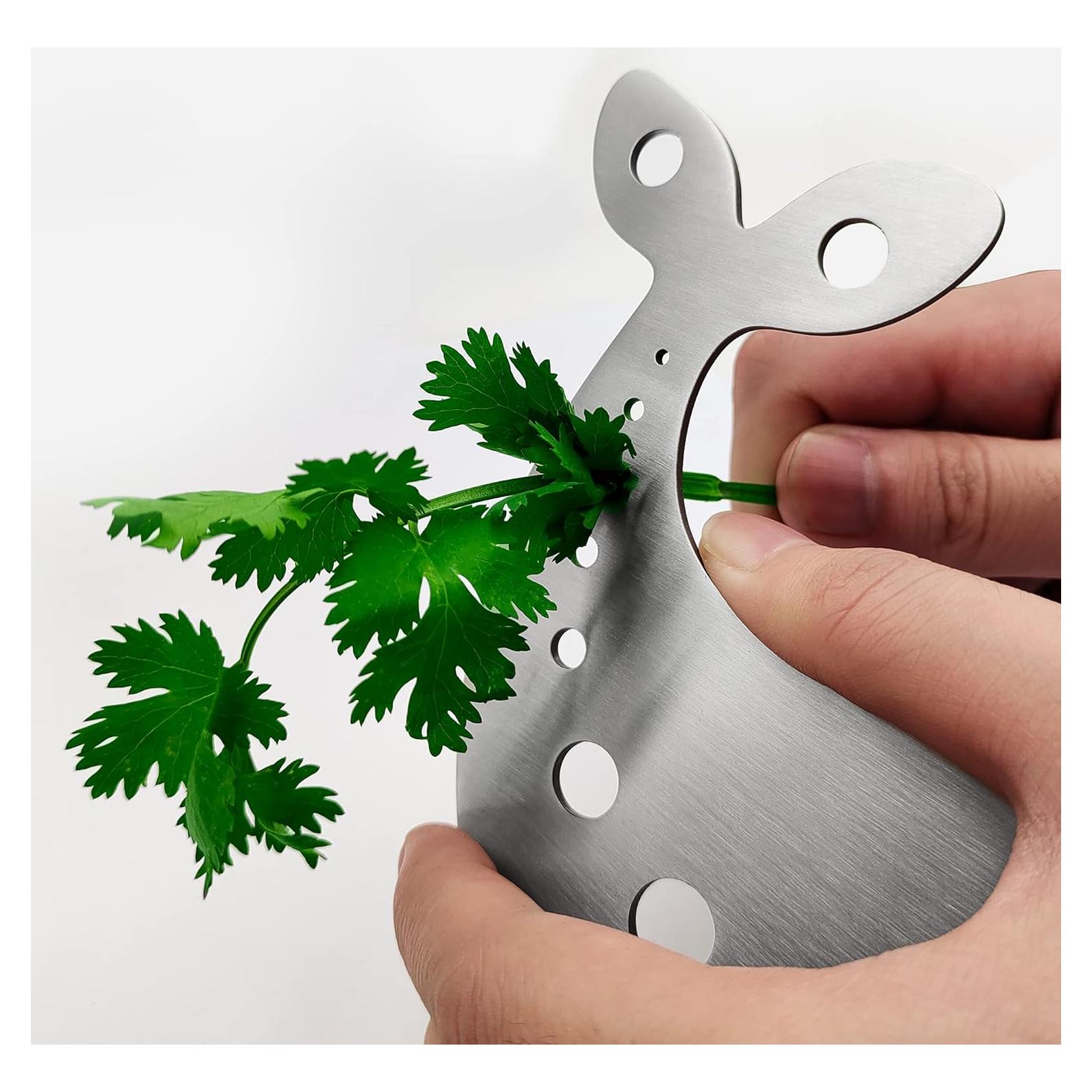 Desprendedor de Hierbas Hoomuda de Acero Inoxidable 10 Agujeros