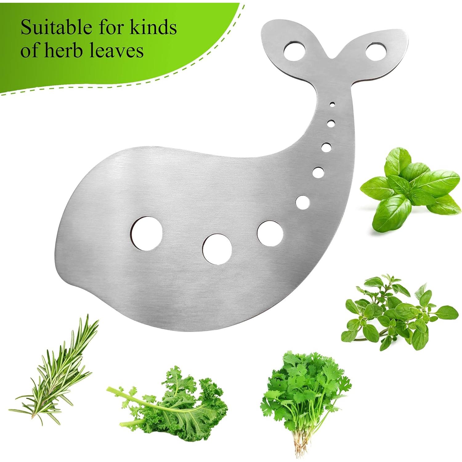 Desprendedor de Hierbas Hoomuda de Acero Inoxidable 10 Agujeros