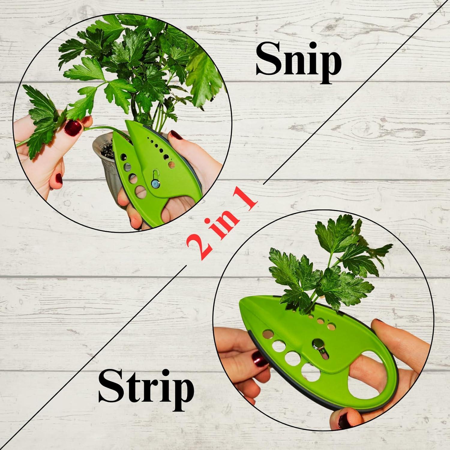 Deshojador de Hierbas TEN73 Multifuncional Verde 10 Agujeros