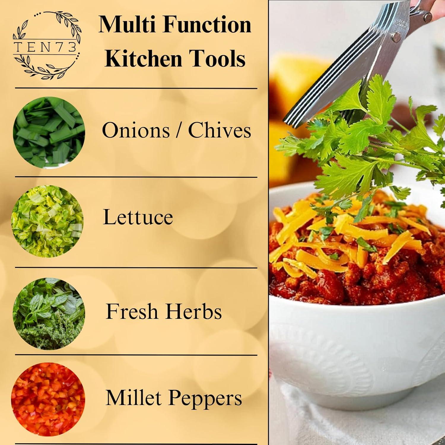 Tijeras de Hierbas TEN73 de Acero Inoxidable con 5 Cuchillas