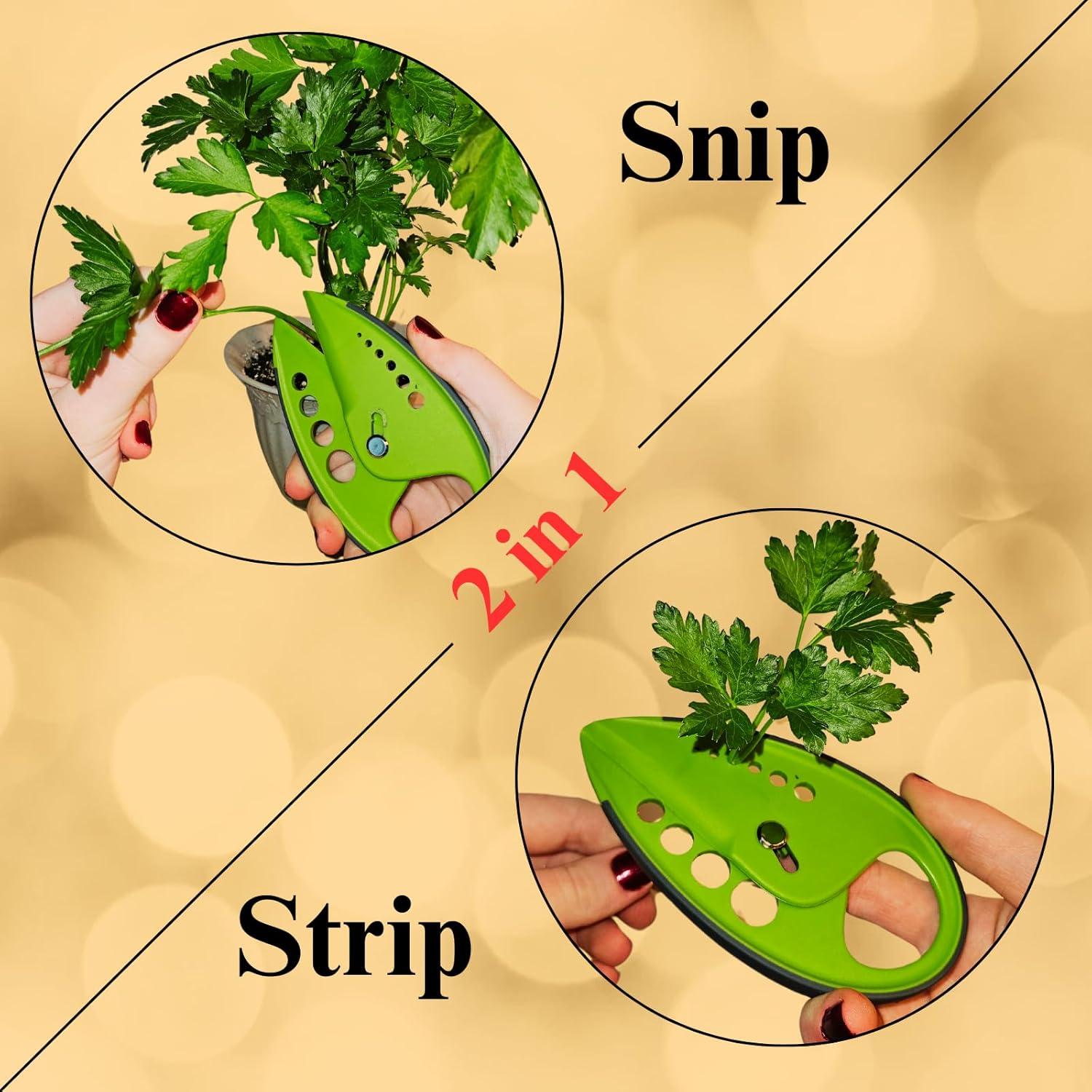 Tijeras de Hierbas TEN73 de Acero Inoxidable con 5 Cuchillas