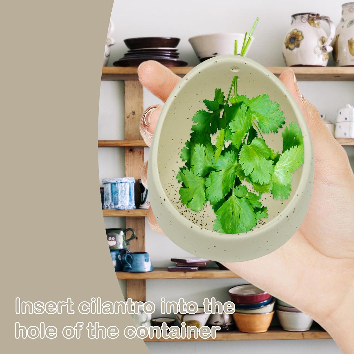 Tazón Deshojador de Hierbas de Cerámica HINGTAI 10x10 cm