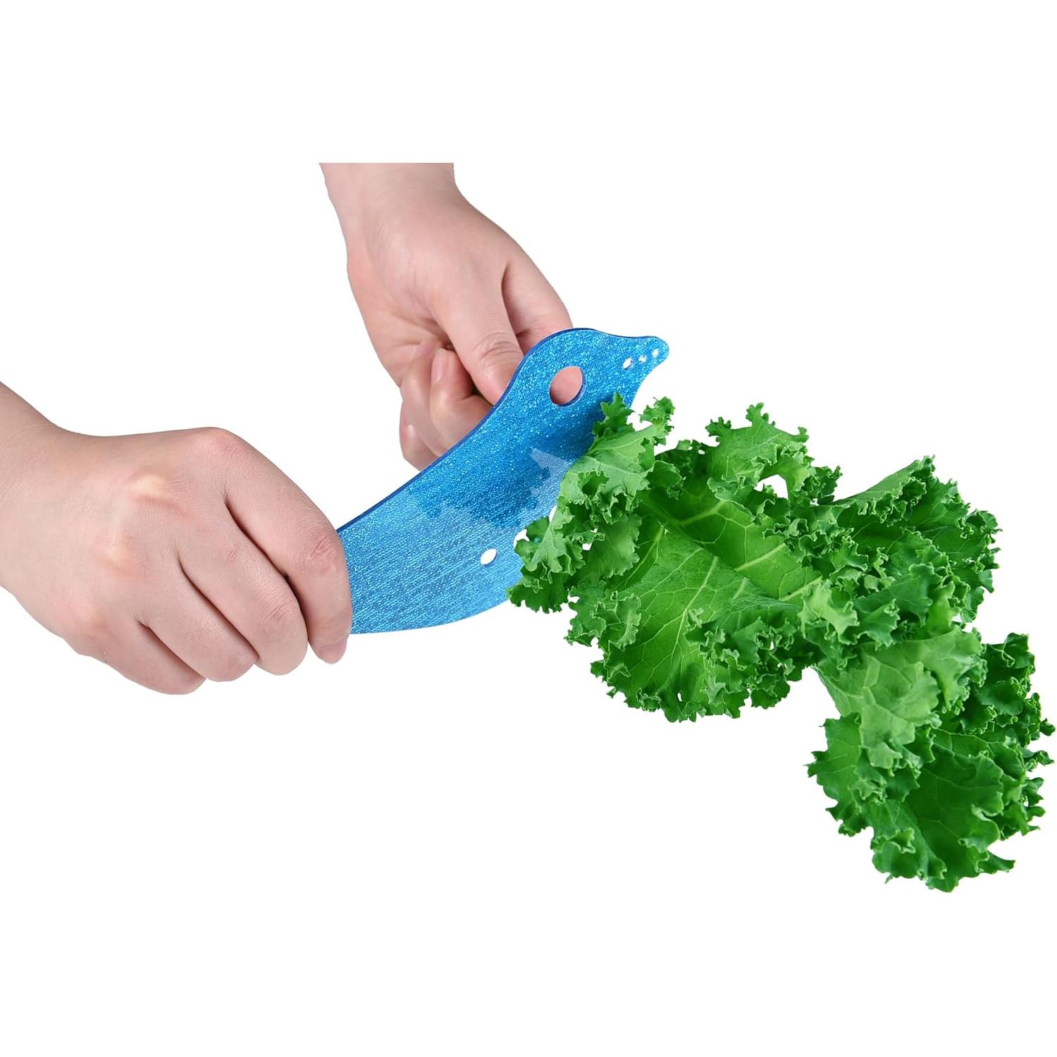 Deshojador de Hierbas RONDURE - Gadget de Cocina Multifuncional