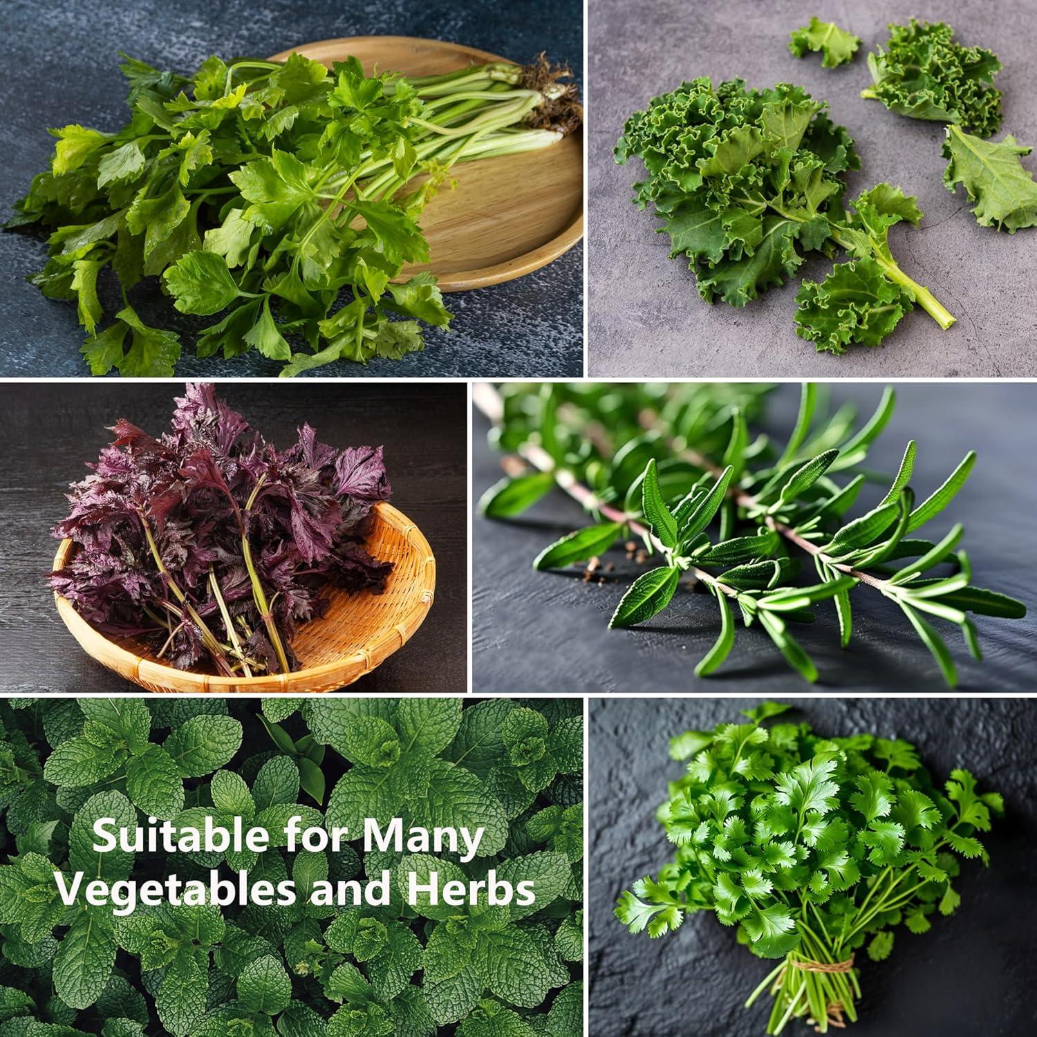 Deshojador de Hierbas SDALU XPQ-2 Acero Inoxidable 9 Agujeros