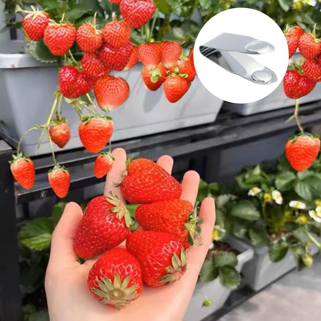 Despalillador de Fresas Acero Inoxidable QLXHBOT 2Pcs