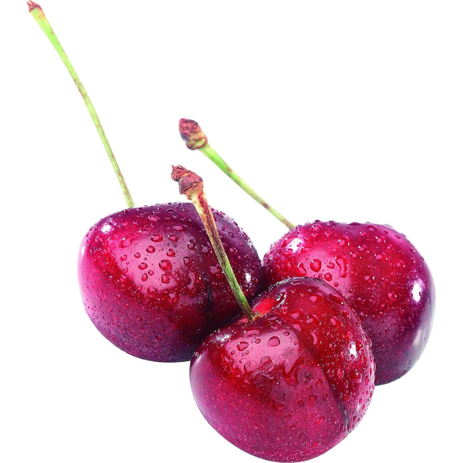 Deshuesador de Cereza Westmark Alemania Ergonomico Rojo