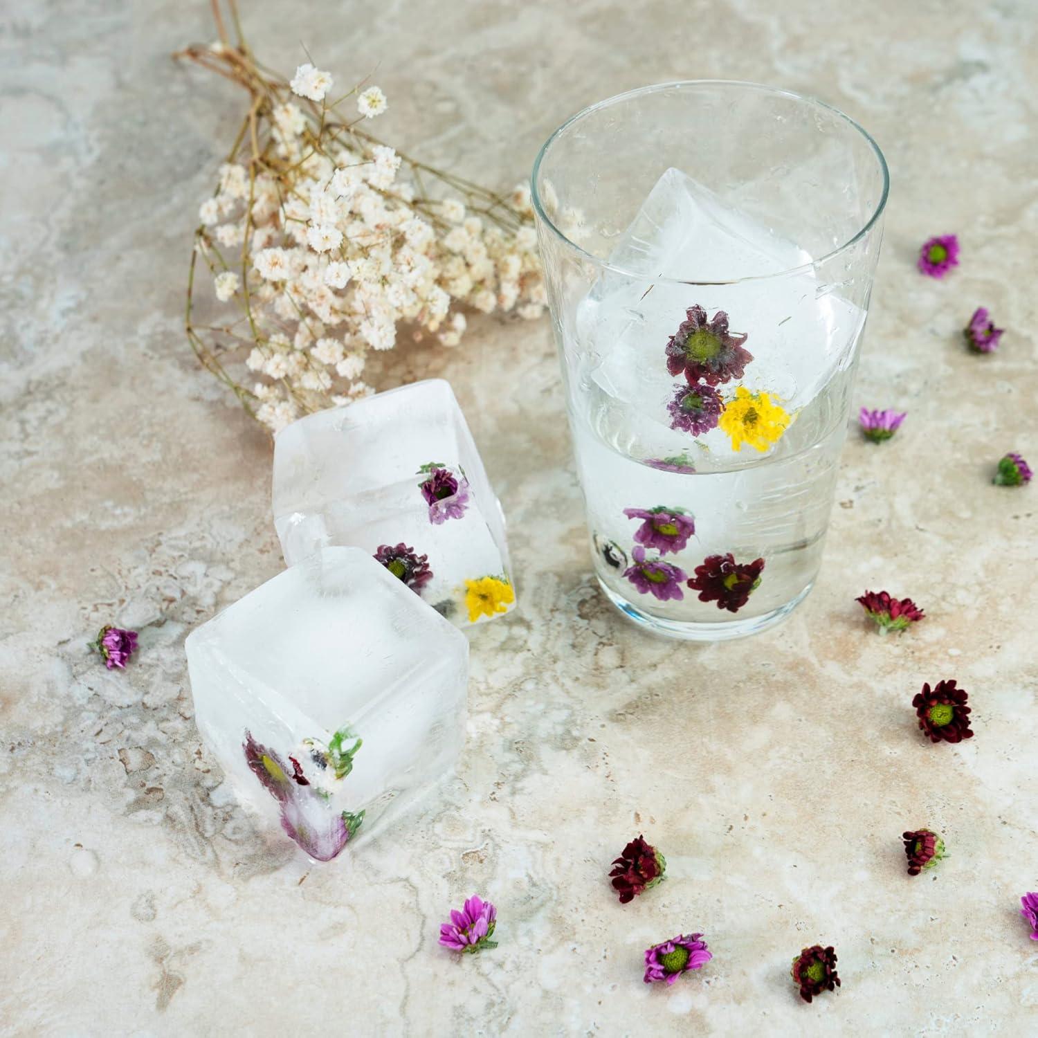 Bandejas de Hielo de Silicona Samuelworld - Combo 4 Esferas y 6 Cubos