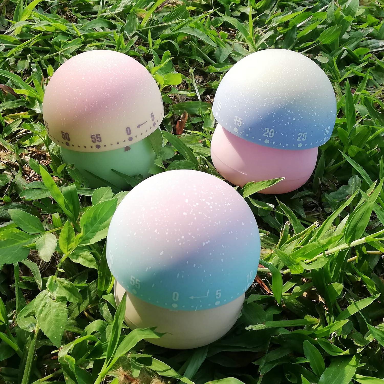 Temporizador de Cocina Mecánico NUOSWEK 60 Minutos Verde