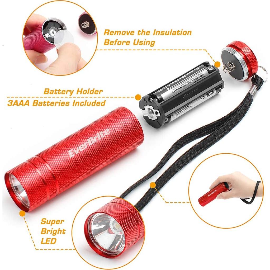 Conjunto de 30 Linternas LED Mini EverBrite con Baterías