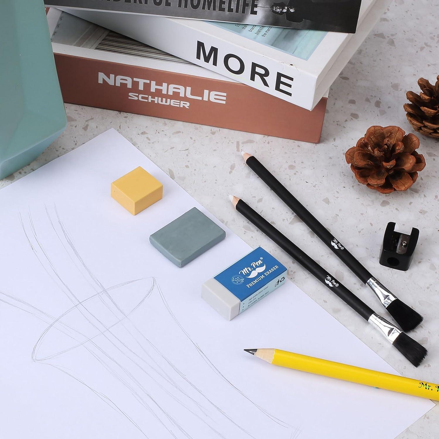 Conjunto de Gomas de Borrar Mr. Pen - 12 Piezas Variadas