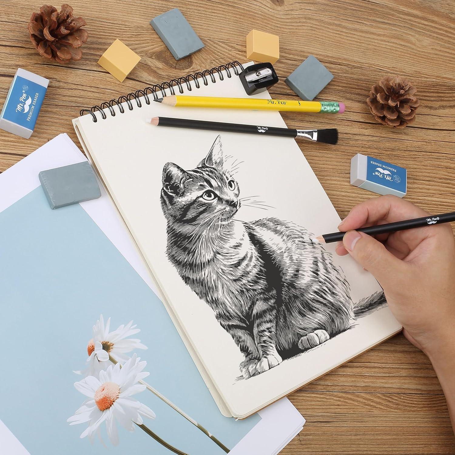 Conjunto de Gomas de Borrar Mr. Pen - 12 Piezas Variadas