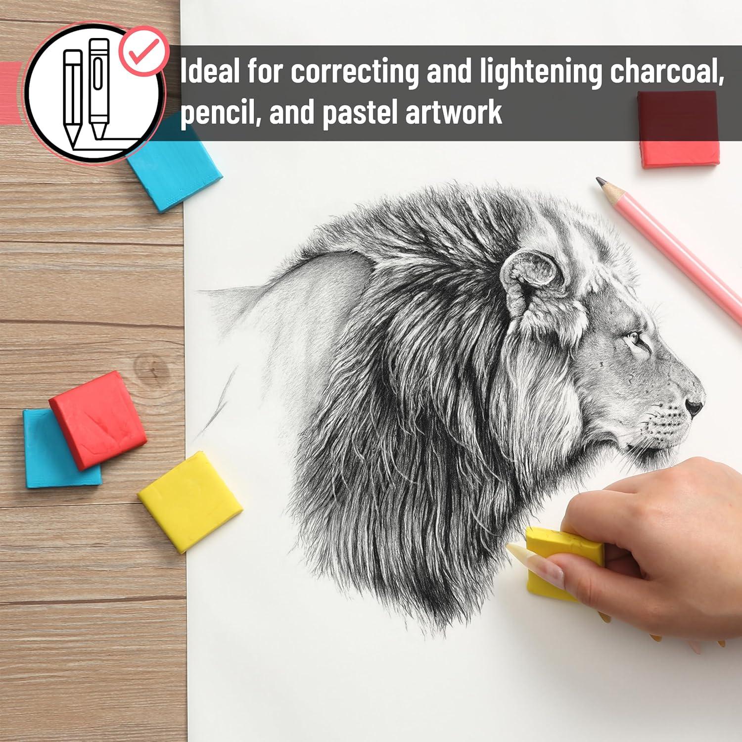 Juego de Gomas de Borrar Amasadas Mr. Pen 19 Piezas