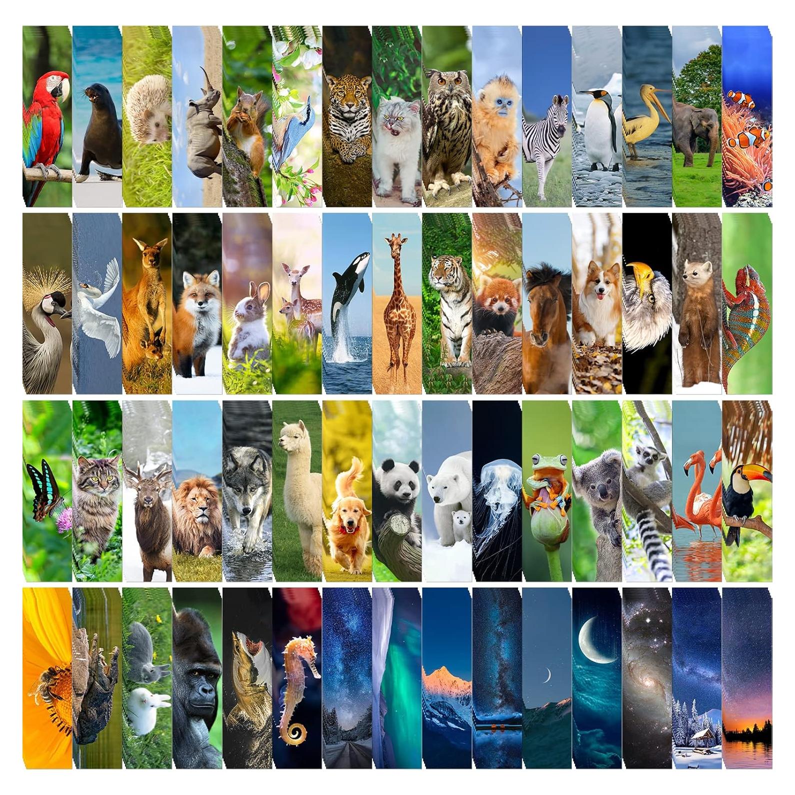 300 Marcadores de Animales AFOROEOA - Doble Cara 15x4cm