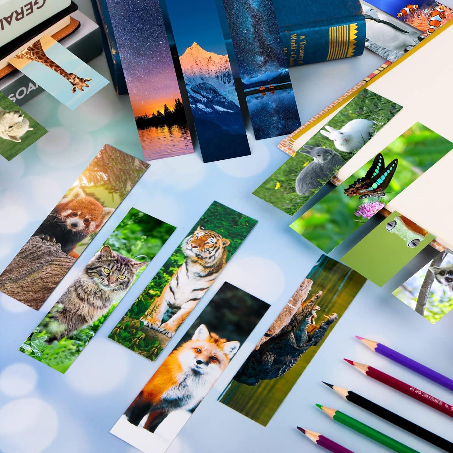 300 Marcadores de Animales AFOROEOA - Doble Cara 15x4cm