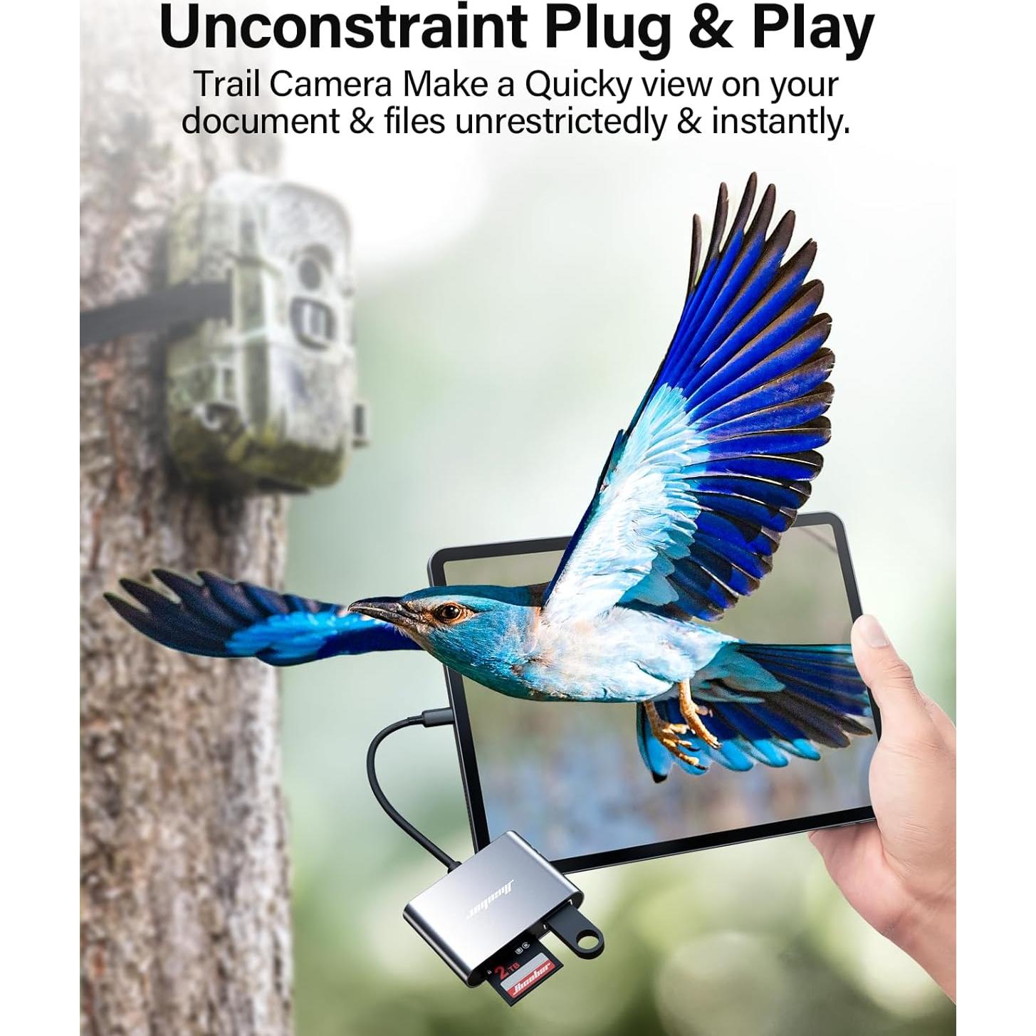 Lector de Tarjetas SD USB C Hicober 2TB Gris Espacial