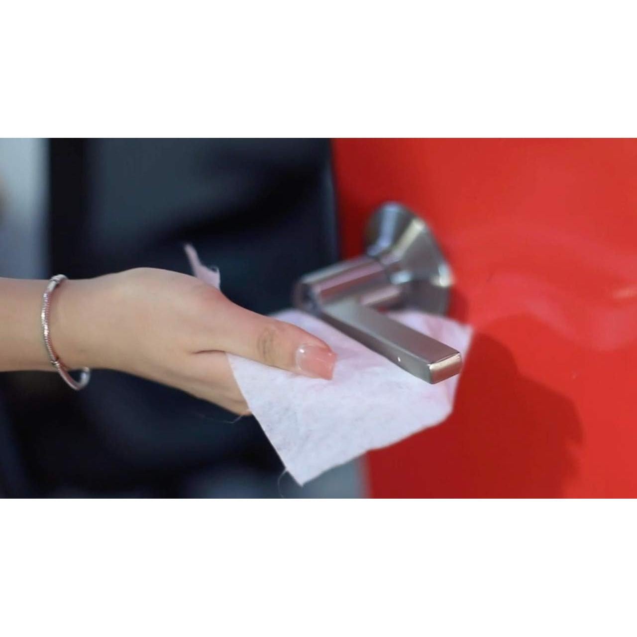 Toallitas de Limpieza Multi-Superficie SANIDRY Rosmar 300 Unidades