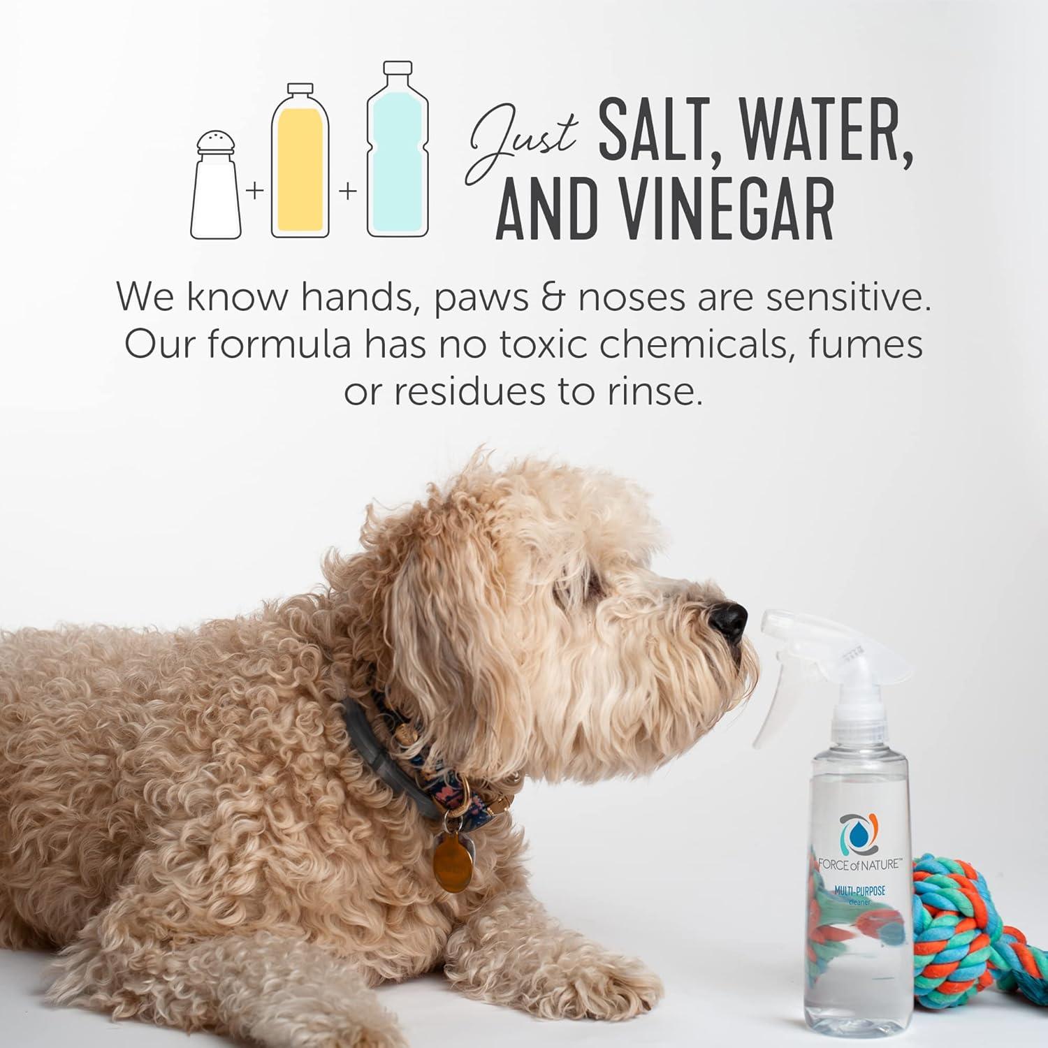 Kit de Inicio Force of Nature - Limpiador Multiusos Ecológico