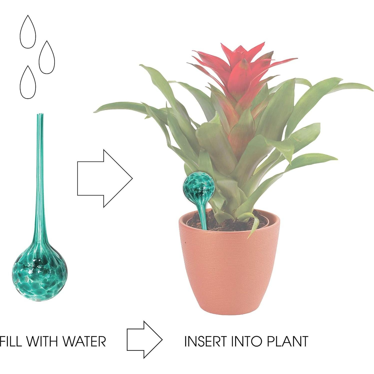 Set de 4 Globos de Riego Wyndham House - Vidrio Soplado 30cm