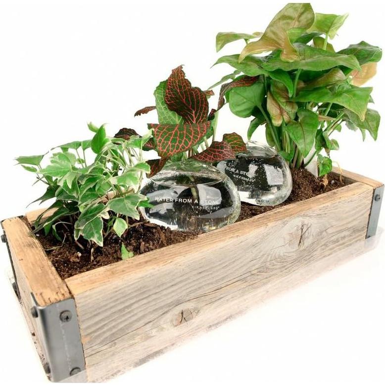 Juego de 2 Esferas de Vidrio Soplado Kikkerland para Autorriego