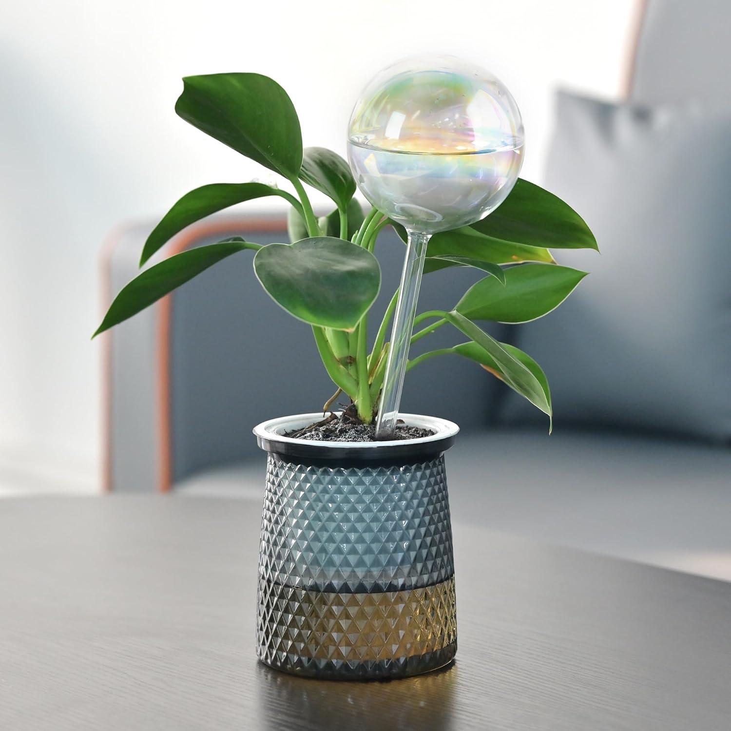 Esferas de Riego Automático de Vidrio Iridiscente - 4 Unidades