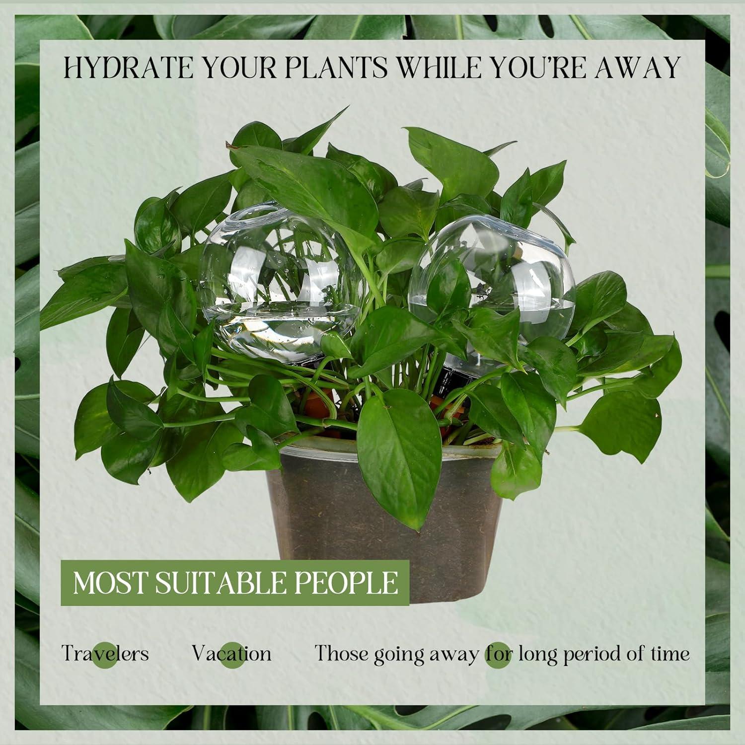 Esferas de Riego Automáticas Domensi 4 Pcs 500 ml Jardín