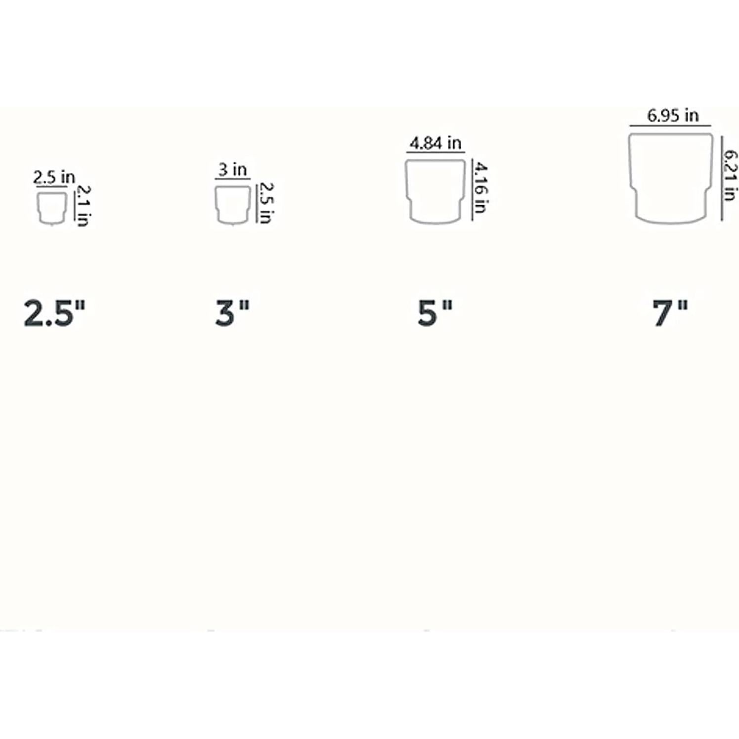 Maceta Mini Suculenta El HC Companies 7.62 cm Drenaje