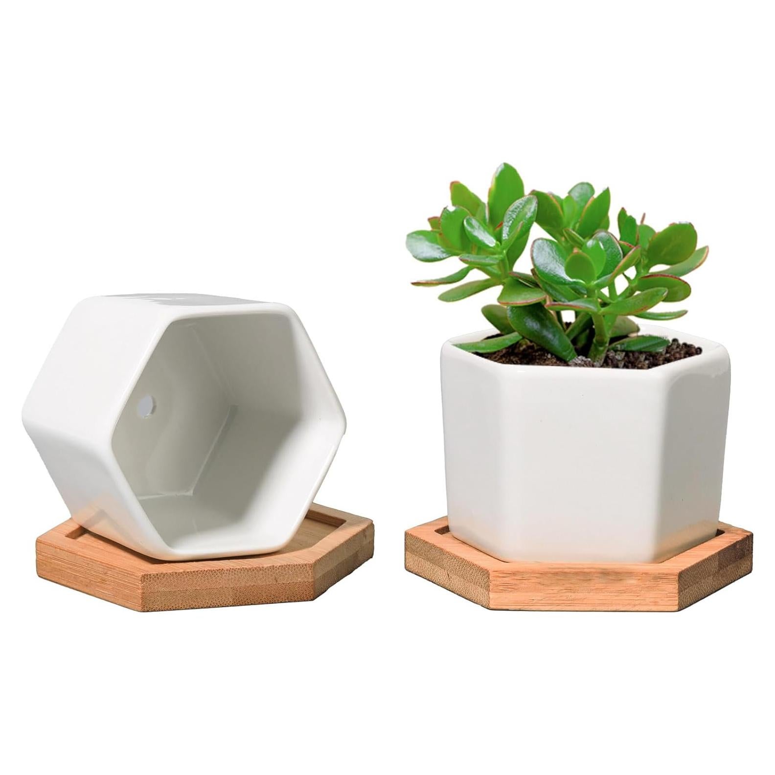 Macetas Hexagonales T4U para Suculentas con Bandeja - Juego de 2