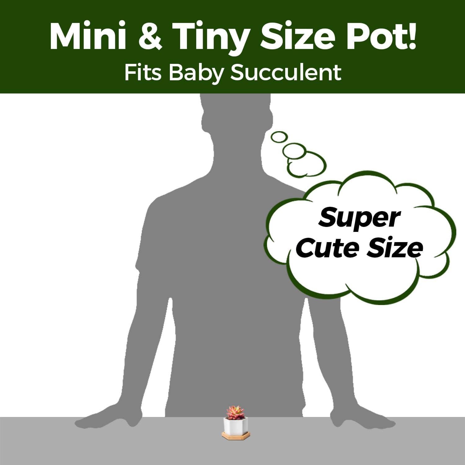 Macetas Hexagonales T4U para Suculentas con Bandeja - Juego de 2