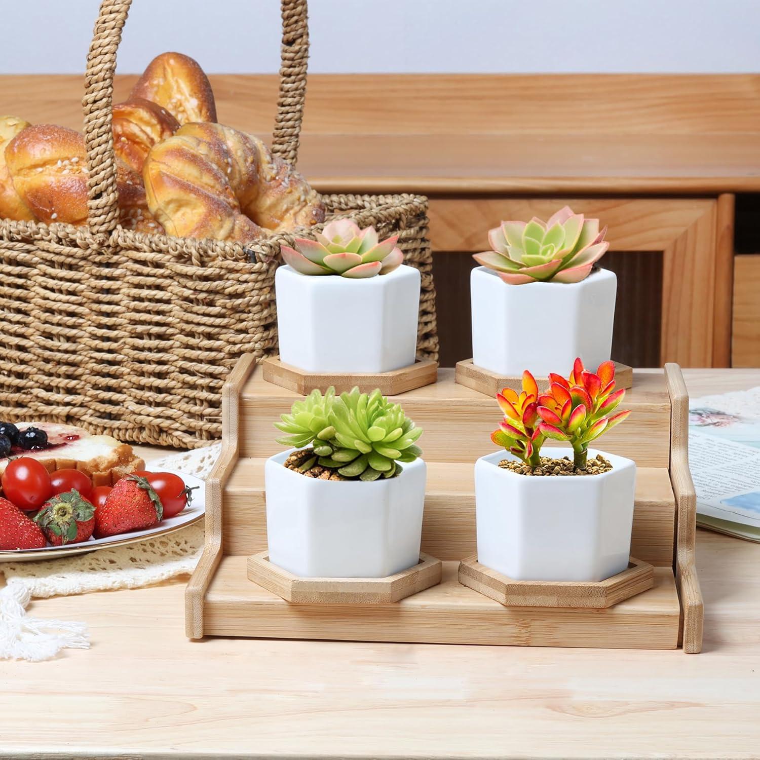 Macetas Hexagonales T4U para Suculentas con Bandeja - Juego de 2