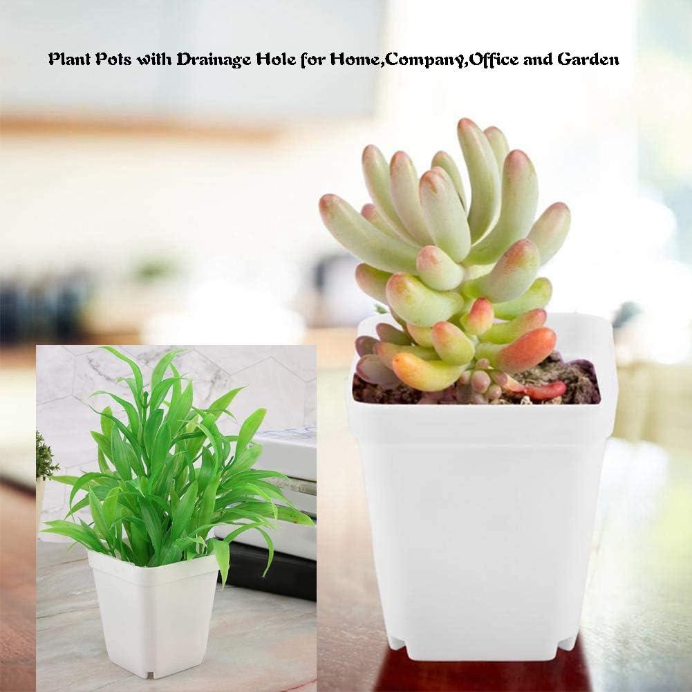 Macetas Plásticas Cuadradas OJYUDD 24 Pzs 7x7x7.6 cm con Plato