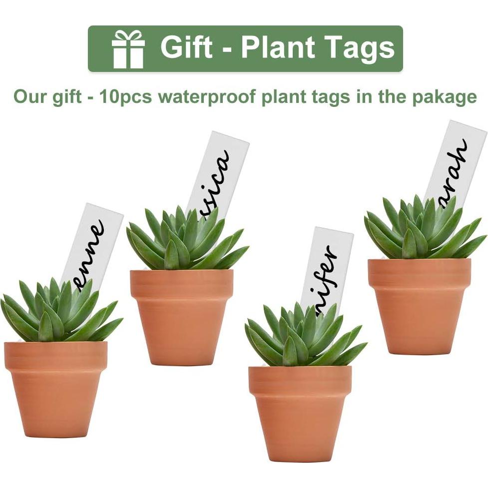 32 Macetas de Terracota 5.08 cm Becory con Drenaje para Suculentas