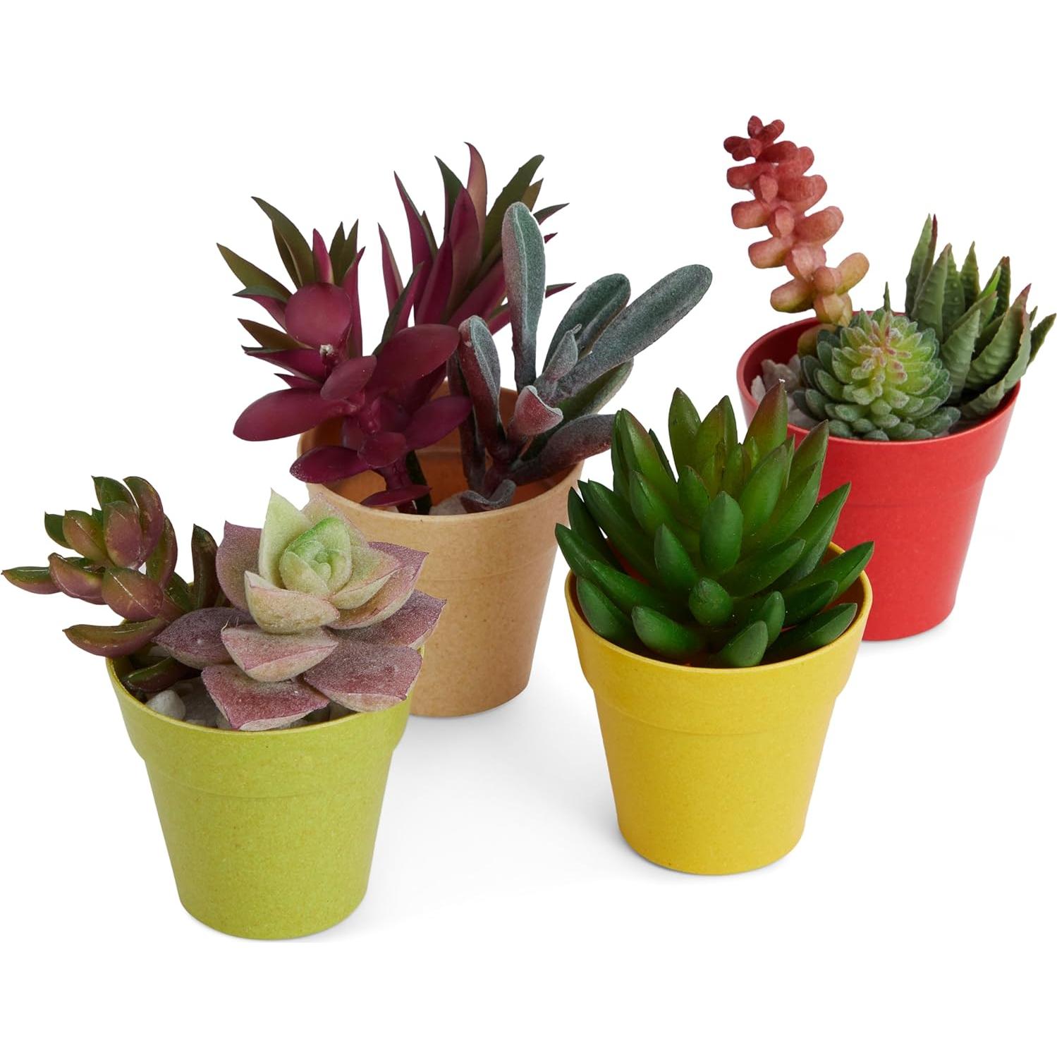 Juvale Paquete de 24 Macetas de Plástico Multicolor 6.4x5.8 cm