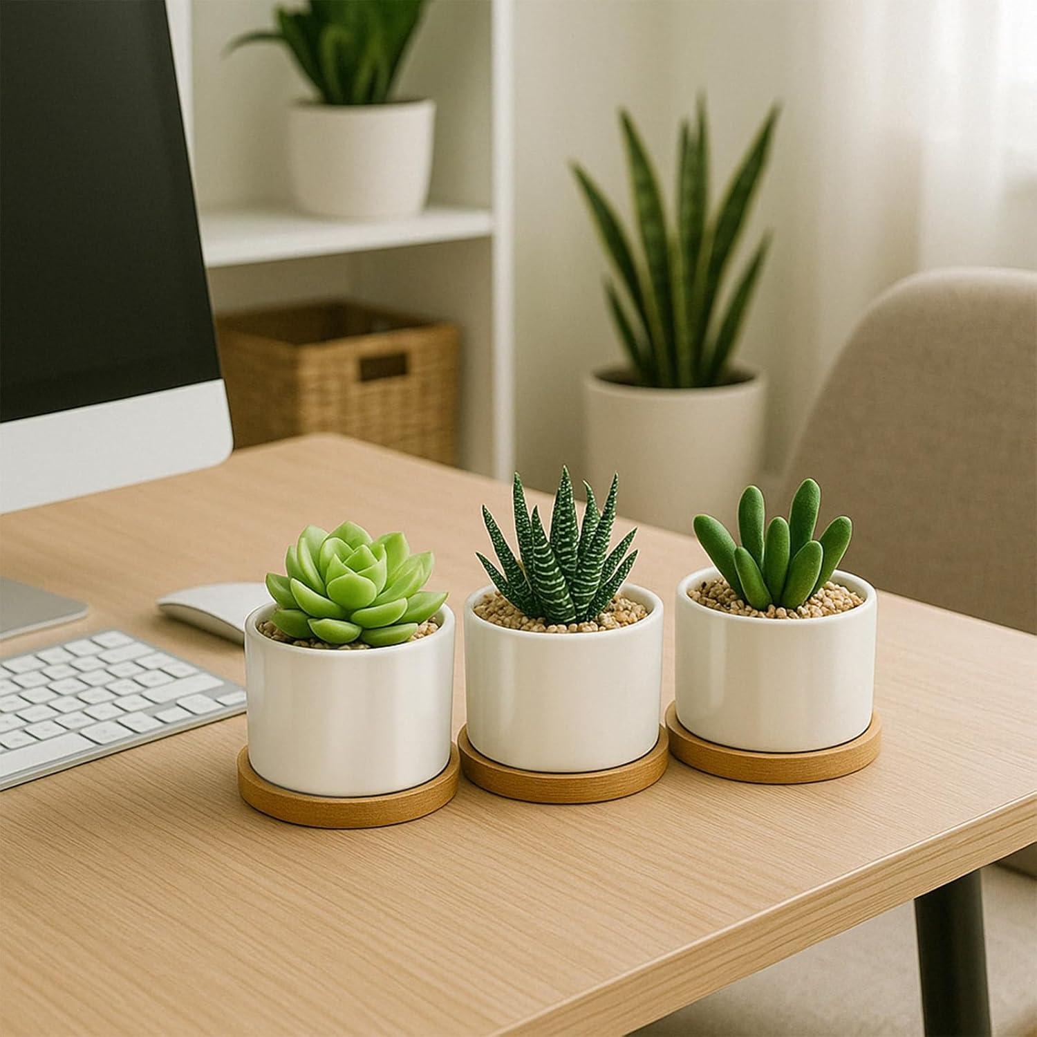 Macetas Suculentas ZOUTOG 8 cm Cerámica Blanca con Drenaje - 6 Piezas