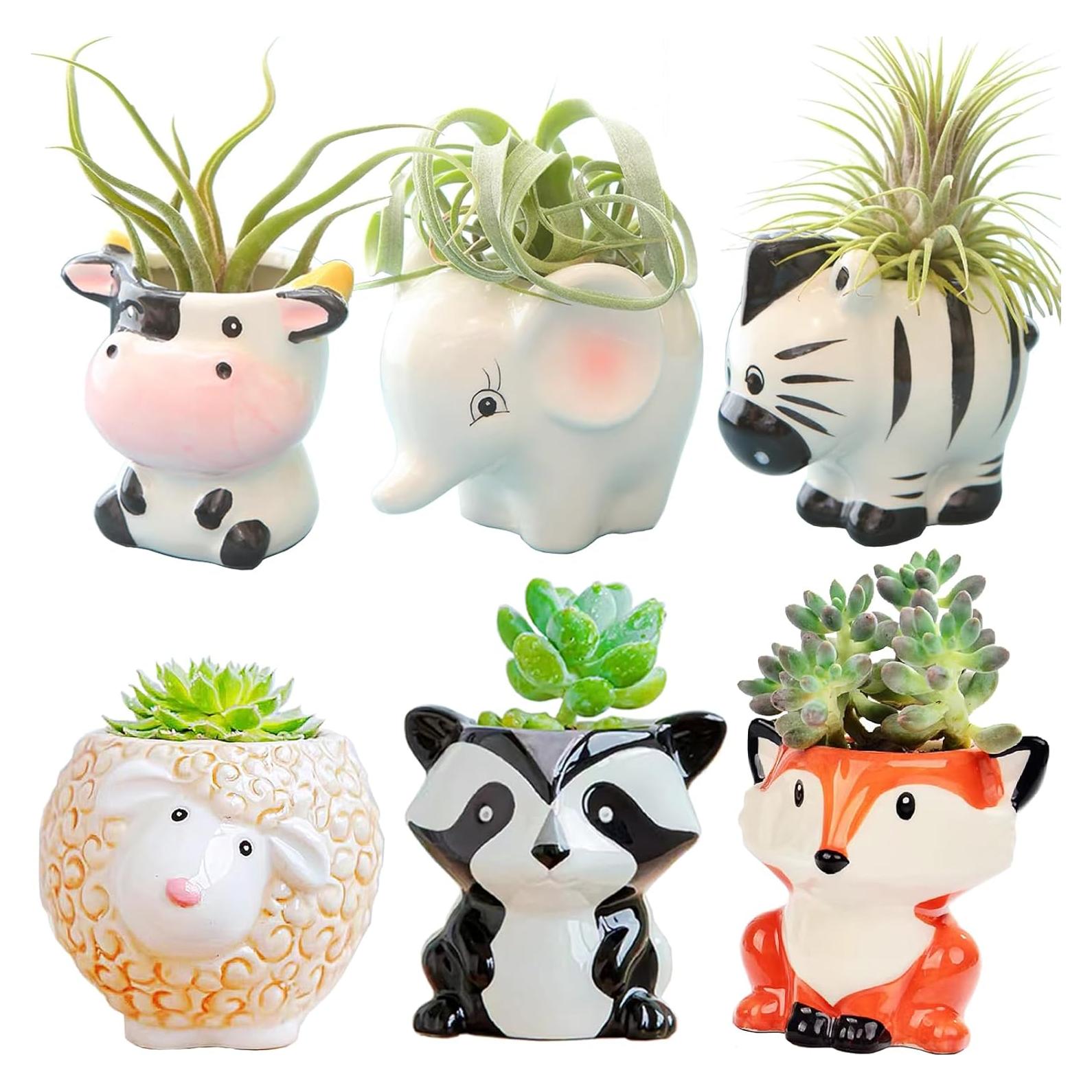 Melphoe 6 Macetas de Cerámica para Suculentas y Plantas de Aire