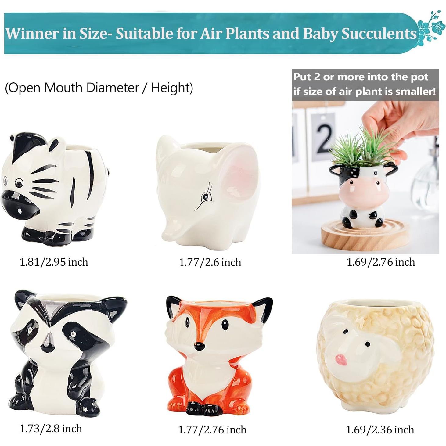 Melphoe 6 Macetas de Cerámica para Suculentas y Plantas de Aire