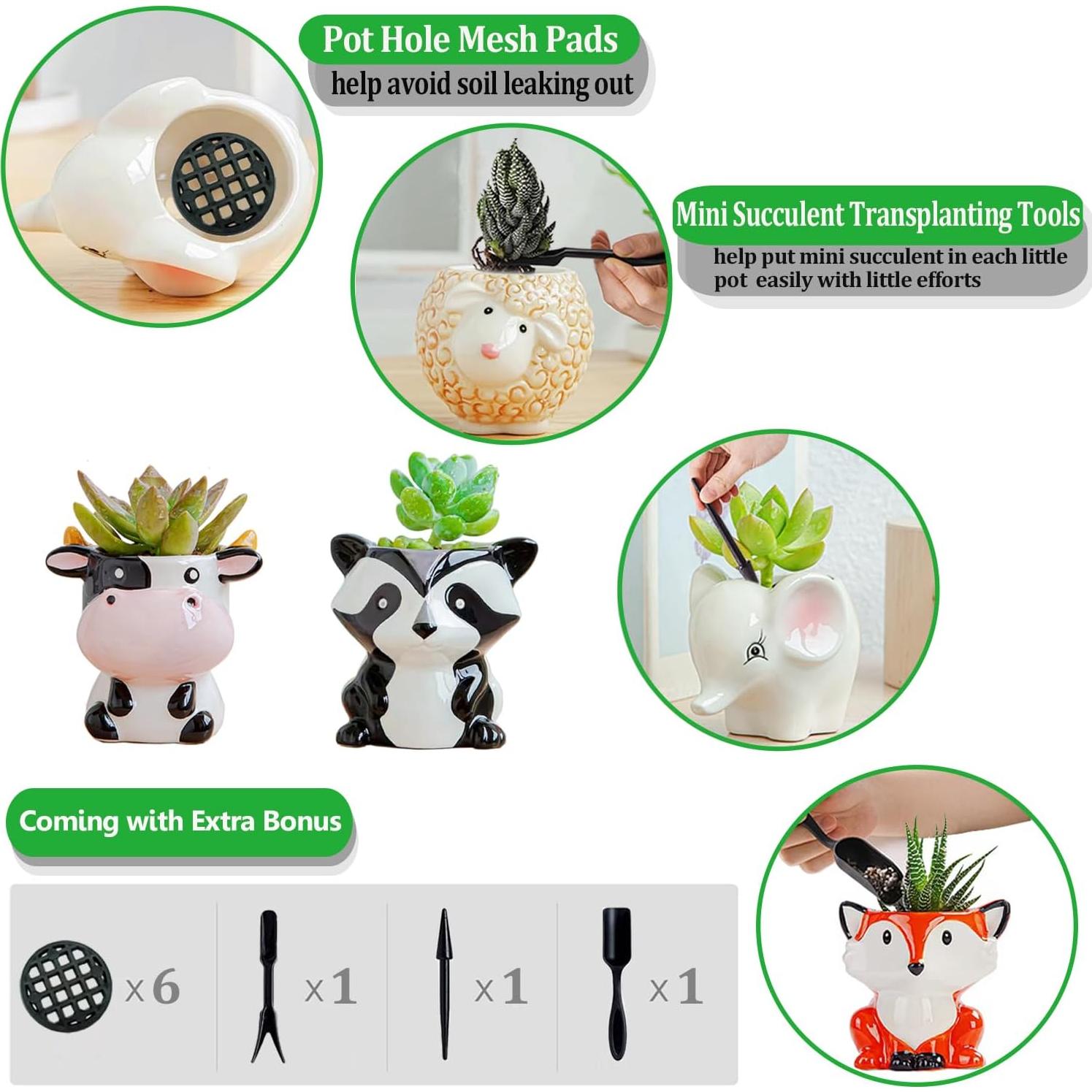 Melphoe 6 Macetas de Cerámica para Suculentas y Plantas de Aire