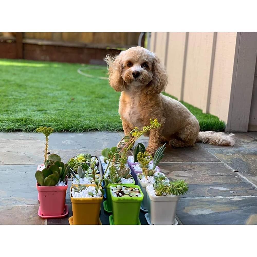 Hedume 70 Macetas Cuadradas Plásticas Coloridas 7 Colores